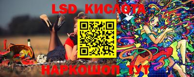 гидра Берёзовский