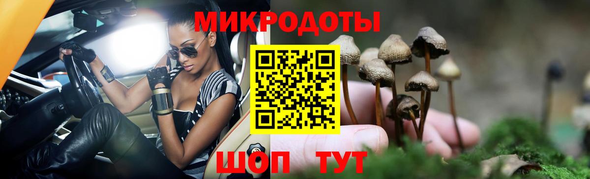 Псилоцибиновые грибы мухоморы  Большой Камень 